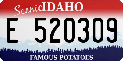 ID license plate E520309