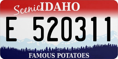ID license plate E520311