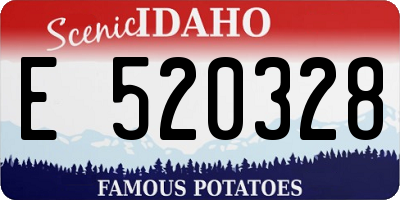 ID license plate E520328