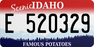 ID license plate E520329
