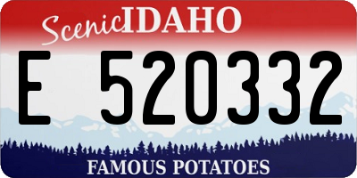 ID license plate E520332