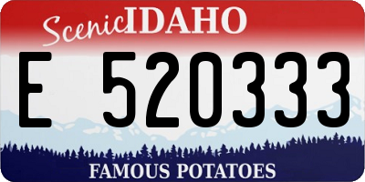 ID license plate E520333