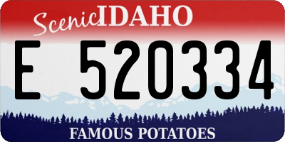 ID license plate E520334