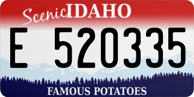 ID license plate E520335
