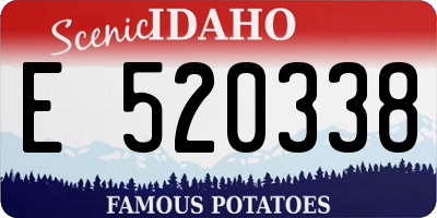 ID license plate E520338