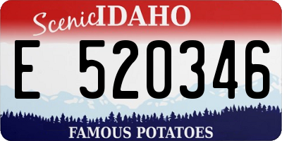 ID license plate E520346