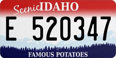 ID license plate E520347
