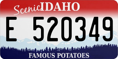 ID license plate E520349