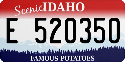 ID license plate E520350