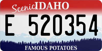 ID license plate E520354
