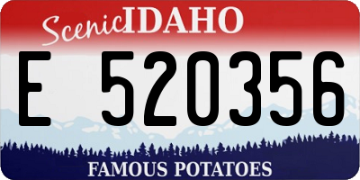ID license plate E520356