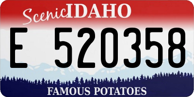 ID license plate E520358