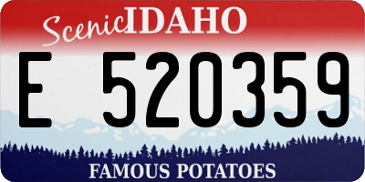 ID license plate E520359