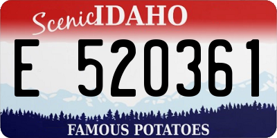 ID license plate E520361