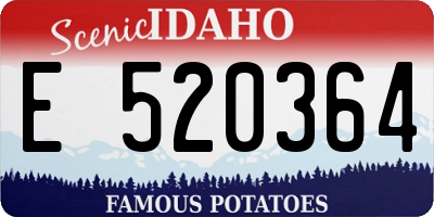 ID license plate E520364
