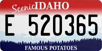 ID license plate E520365