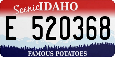 ID license plate E520368