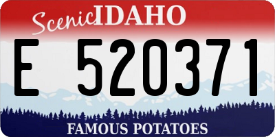 ID license plate E520371