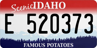 ID license plate E520373