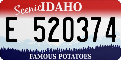 ID license plate E520374