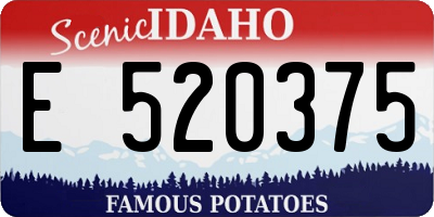 ID license plate E520375