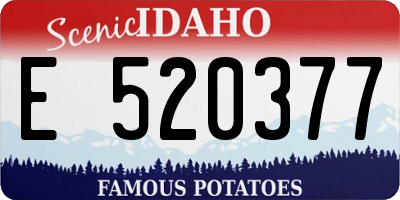 ID license plate E520377
