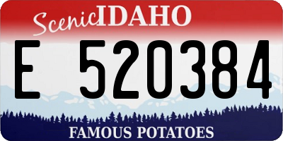 ID license plate E520384