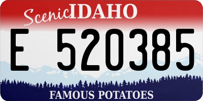 ID license plate E520385