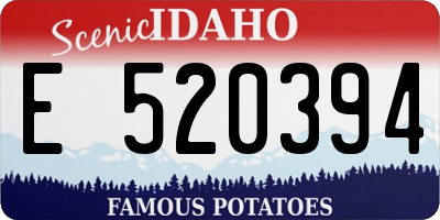 ID license plate E520394