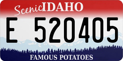 ID license plate E520405