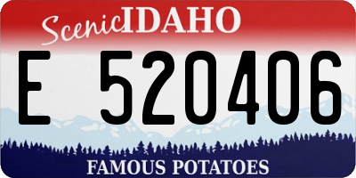 ID license plate E520406