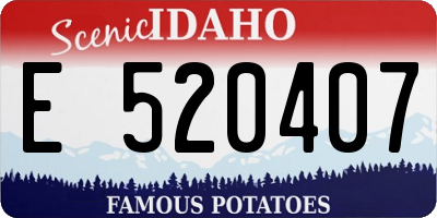 ID license plate E520407
