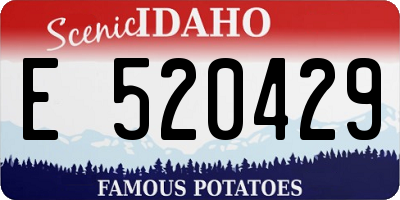 ID license plate E520429