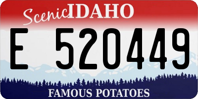 ID license plate E520449