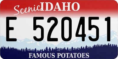 ID license plate E520451