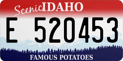 ID license plate E520453