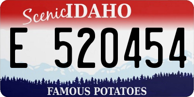 ID license plate E520454