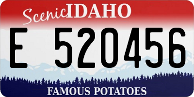 ID license plate E520456