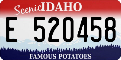 ID license plate E520458