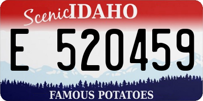 ID license plate E520459
