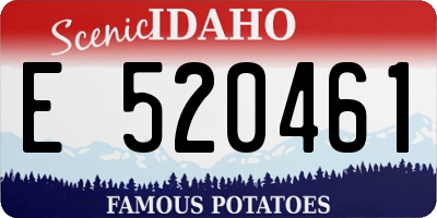 ID license plate E520461