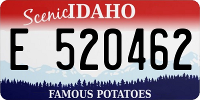 ID license plate E520462