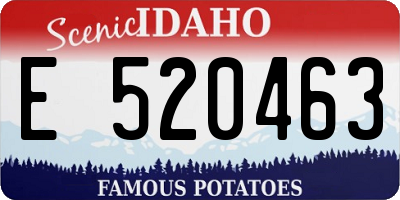 ID license plate E520463