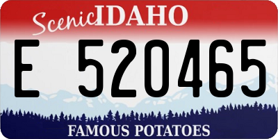 ID license plate E520465