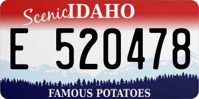 ID license plate E520478