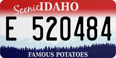 ID license plate E520484