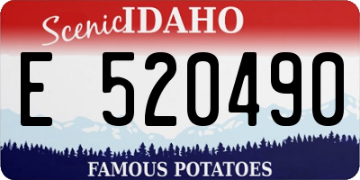 ID license plate E520490