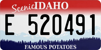 ID license plate E520491