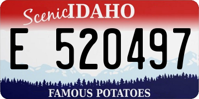 ID license plate E520497