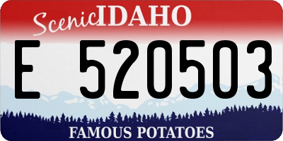 ID license plate E520503